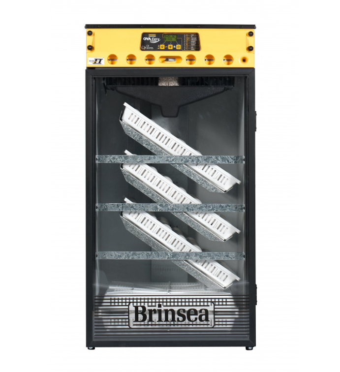 Home Incubators