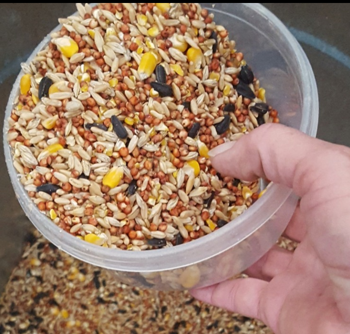 Home Animal Feeds